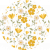 flores mostaza